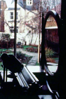 Blackbird Descending