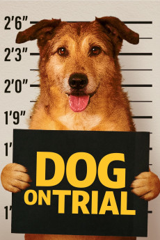 Dog on Trial (2024) - Watch Online in HD