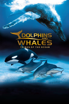 Dolphins and Whales 3D: Tribes of the Ocean