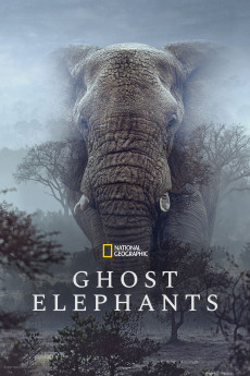 Ghost Elephants (2025) - Watch Online in HD