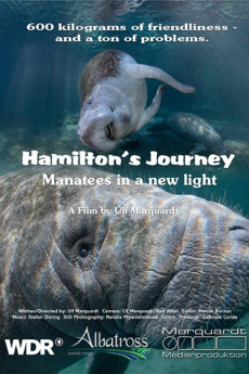 Hamilton's Journey: Manatees in a New Light