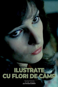 Ilustrate cu flori de câmp