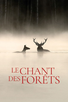 Le chant des forêts (2025) - Watch Online in HD