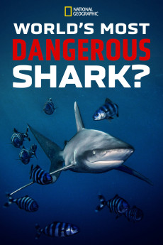 World's Most Dangerous Shark